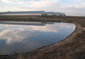 pond and barn cropped